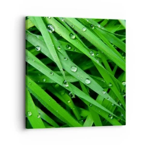 Bild auf Leinwand - Leinwandbild - Grün spielen - 30x30 cm