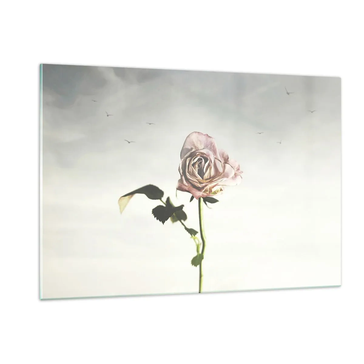 Glasbild - Bild auf glas - Eine zarte Rose vor dem Himmel mit fliegenden Vögeln - 120x80cm - Begrüßung des Frühlings - Moderne Wanddekoration für Wohnzimmer und Schlafzimmer ARTTOR