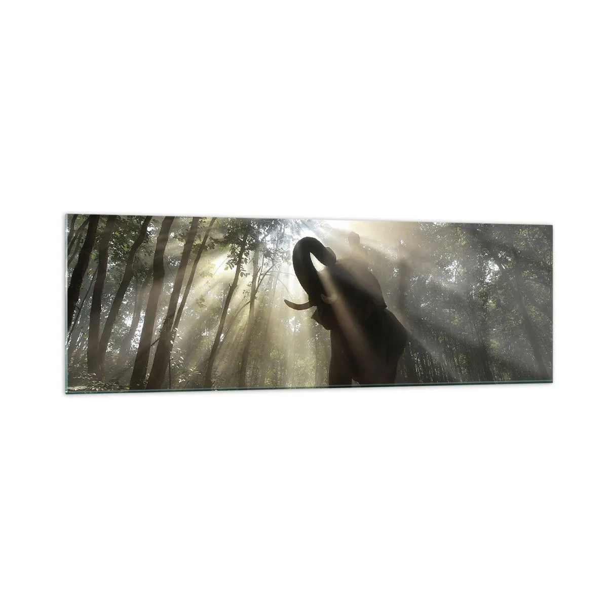 Glasbild - Bild auf glas - Ein Elefant im Wald, umgeben von Lichtstrahlen im Morgennebel - 160x50cm - Unter dem Glücksstern - Moderne Wanddekoration für Wohnzimmer und Schlafzimmer ARTTOR