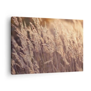 Bild auf Leinwand - Leinwandbild - Goldene Gräser vor dem Hintergrund der untergehenden Sonne - 70x50cm - Bereit, den Herbst willkommen zu heißen - Moderne Wanddekoration für Wohnzimmer und Schlafzimmer ARTTOR