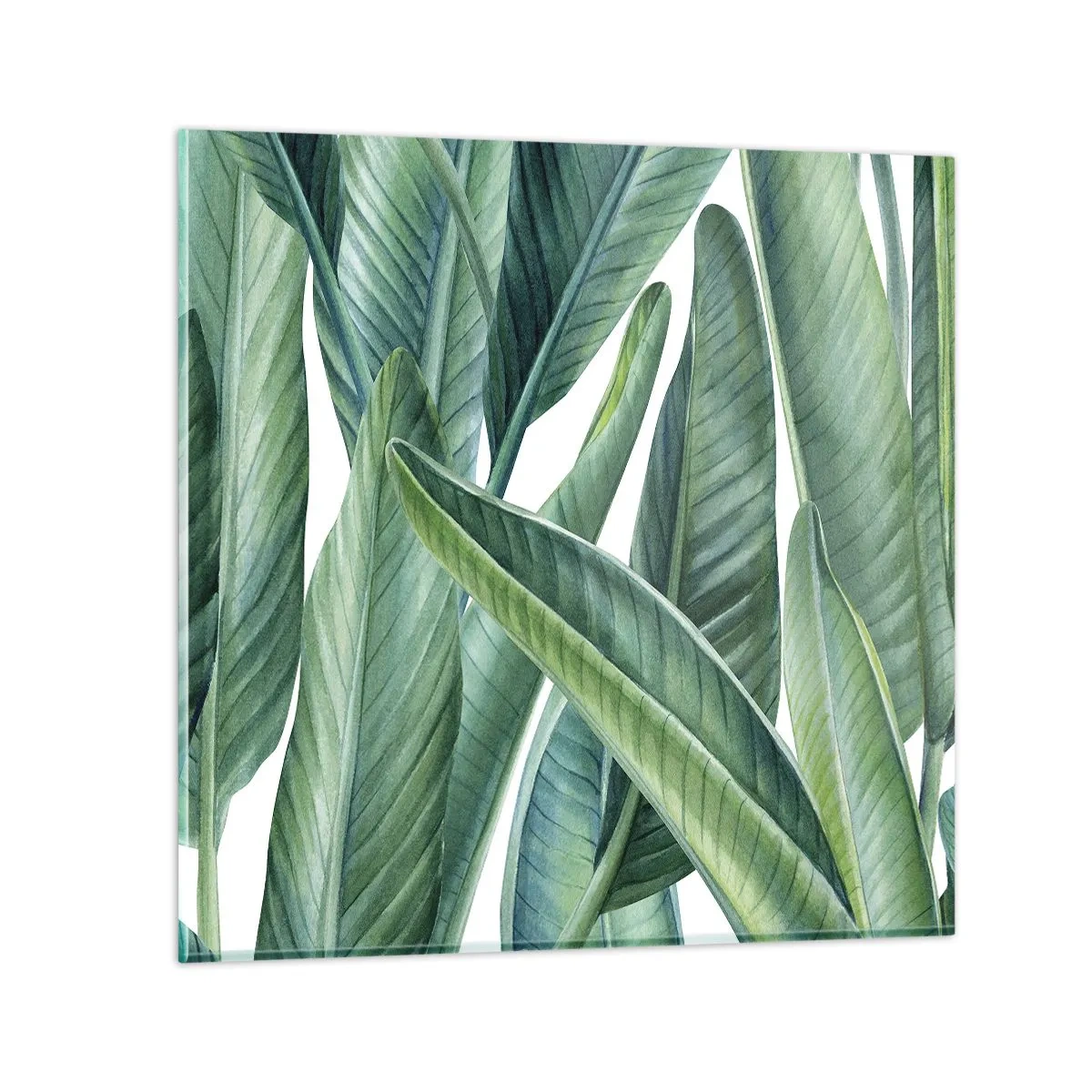 Glasbild - Bild auf glas - An und für sich Grün - 30x30 cm