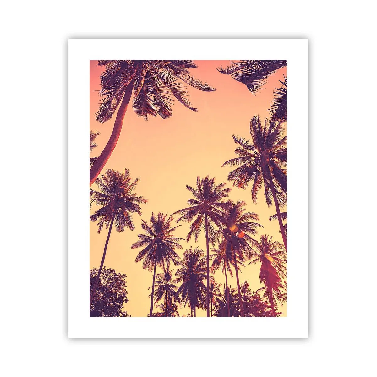 Poster - Tropische Variante - 40x50 cm