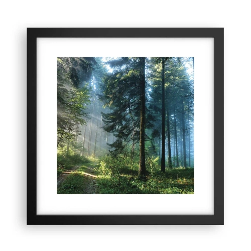 Poster in einem schwarzem Rahmen - Strahlend am Morgen - 30x30 cm