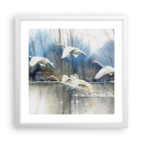 Poster in einem weißen Rahmen - Wie im Märchen von den wilden Schwänen - 40x40 cm