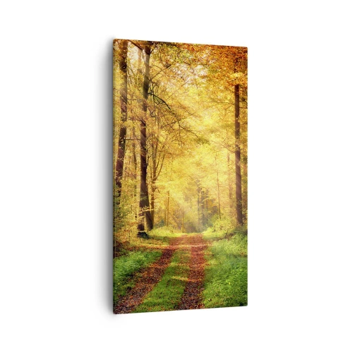 Bild auf Leinwand - Leinwandbild - Waldgoldene Stille - 55x100 cm