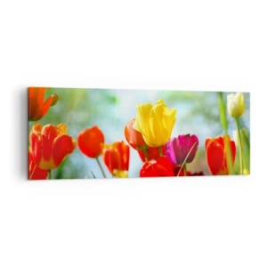Bild auf Leinwand - Leinwandbild - Bunte Tulpen im Sonnenschein - 140x50cm - Alle Farben der Sonne - Moderne Wanddekoration für Wohnzimmer und Schlafzimmer ARTTOR