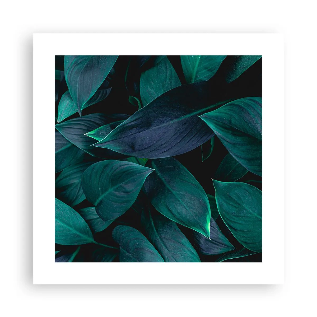 Poster - Grün in sich selbst - 40x40 cm