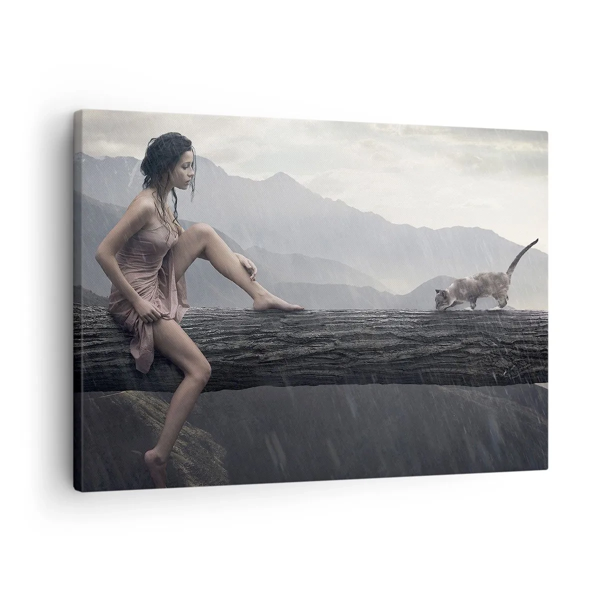 Bild auf Leinwand - Leinwandbild - Eine Frau und eine Katze auf einem Baumstamm im Regen mit Blick auf die Berge. - 70x50cm - Gipfel der Schönheit - Moderne Wanddekoration für Wohnzimmer und Schlafzimmer ARTTOR