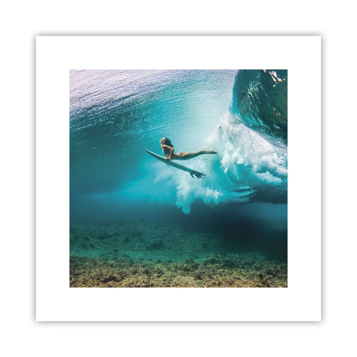 Poster - Unterwasserwelt - 30x30 cm