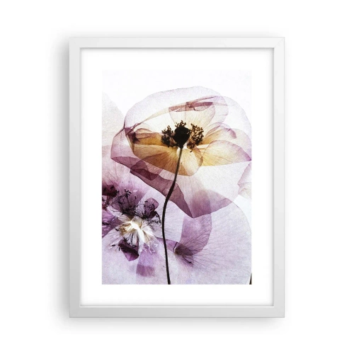 Poster in einem weißen Rahmen - Transparente Körperblumen - 30x40 cm