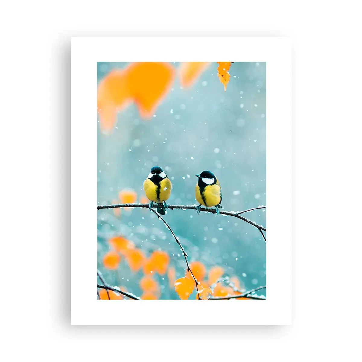 Poster - Vogelklatsch - 30x40 cm