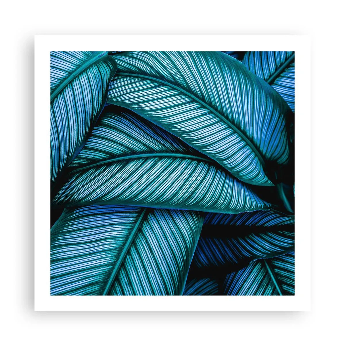 Poster - Lebenslinien - 60x60 cm