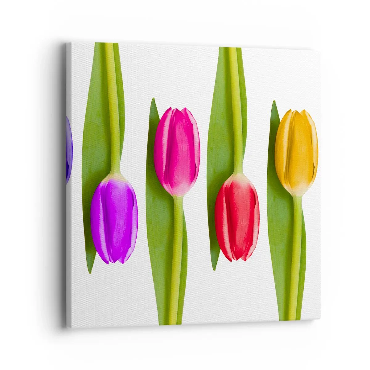 Bild auf Leinwand - Leinwandbild - Regenbogenkomposition - 40x40 cm