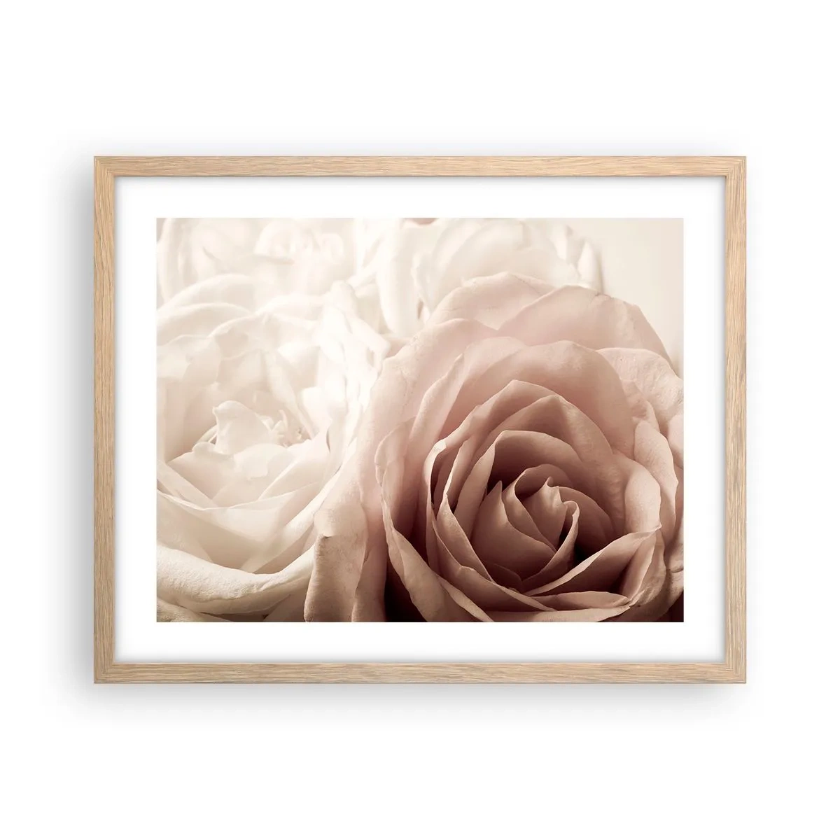Poster in einem Rahmen aus heller Eiche - Im Herzen der Rose - 50x40 cm
