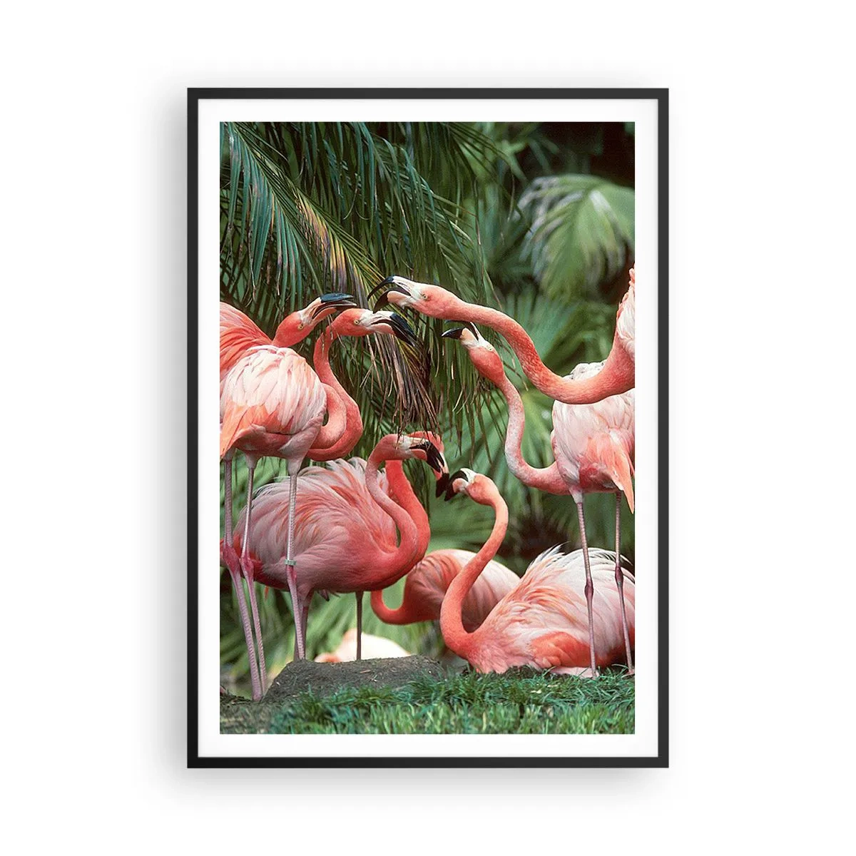 Poster in einem schwarzem Rahmen - Nachmittagsklatsch - 70x100 cm