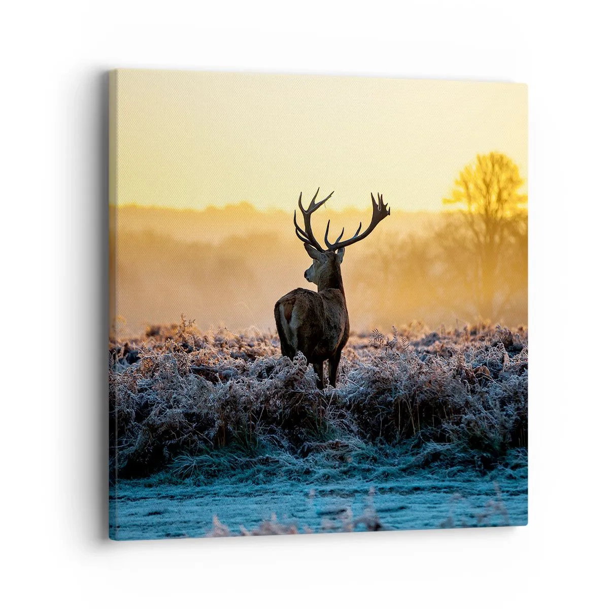 Bild auf Leinwand - Leinwandbild - Gekrönt auf seinem Besitz - 40x40 cm