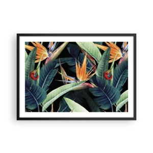 Poster in einem schwarzem Rahmen - Tropische Blumen und Blätter auf schwarzem Hintergrund - 70x50cm - Flammende Blumen der Tropen - Moderne Wanddekoration für Wohnzimmer und Schlafzimmer ARTTOR