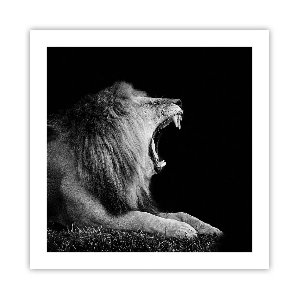 Poster - Ohne Zweifel - 50x50 cm