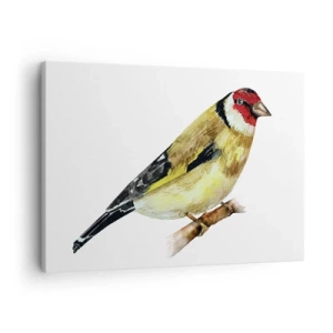 Bild auf Leinwand - Leinwandbild - Ein Vogel mit rotem Kopf auf einem Ast - 70x50cm - Vogelporträt - Moderne Wanddekoration für Wohnzimmer und Schlafzimmer ARTTOR