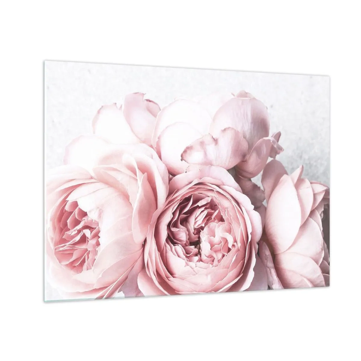 Glasbild - Bild auf glas - Nahaufnahme von rosa Pfingstrosenblüten in sanftem Licht - 70x50cm - Für Romantiker - Moderne Wanddekoration für Wohnzimmer und Schlafzimmer ARTTOR