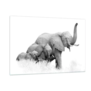 Glasbild - Bild auf glas - Schwarz-weiße Elefantenfamilie in der Natur - 120x80cm - Eins zwei drei - Moderne Wanddekoration für Wohnzimmer und Schlafzimmer ARTTOR