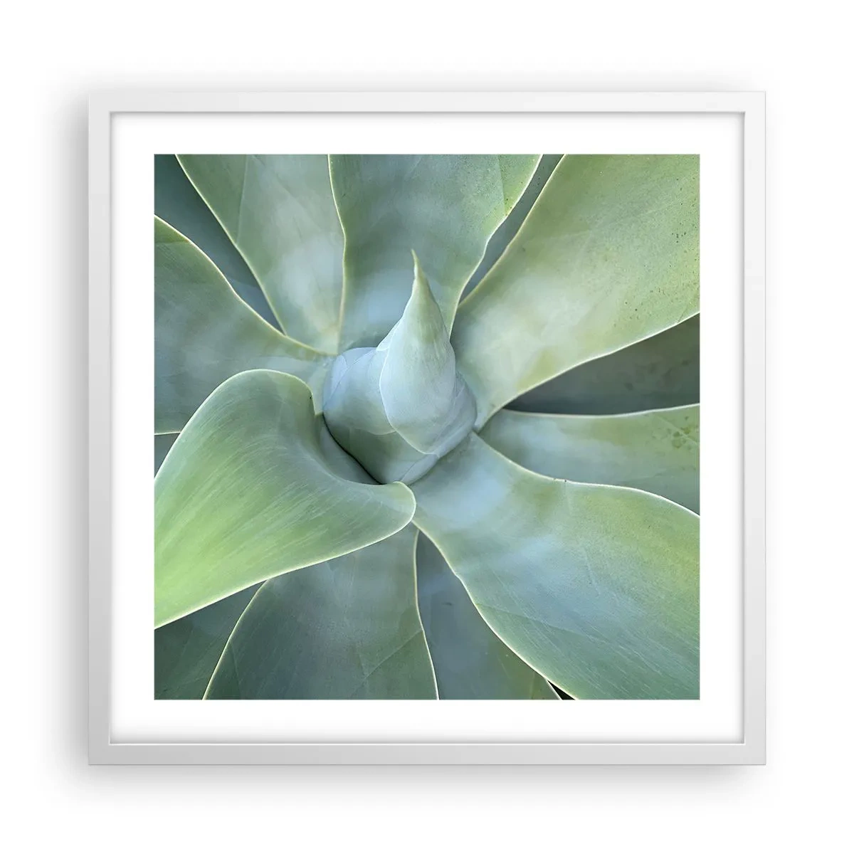 Poster in einem weißen Rahmen - Geburt des Grüns - 50x50 cm