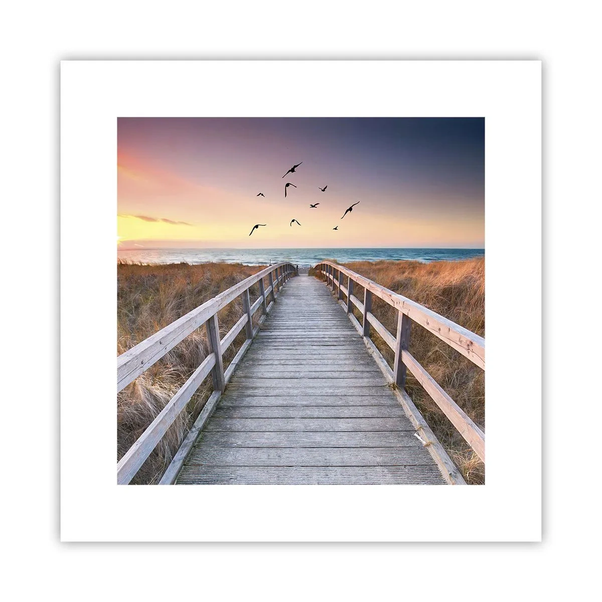 Poster - Der Raum für Auffliegen - 30x30 cm