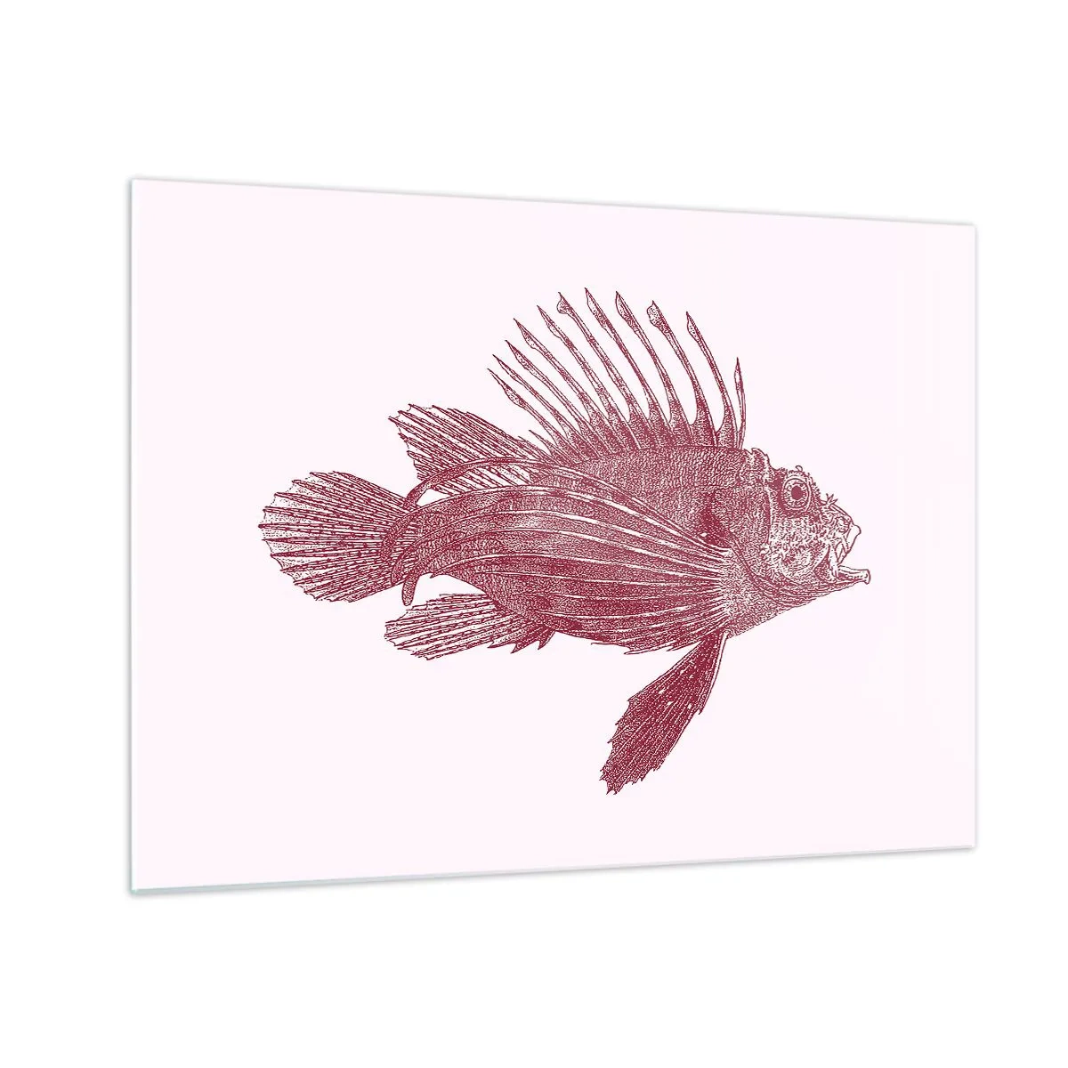 Glasbild - Bild auf glas - Skizze eines exotischen Fisches in Burgunderfarbe auf hellem Hintergrund - 70x50cm - Bewohner exotischer Gewässer - Moderne Wanddekoration für Wohnzimmer und Schlafzimmer ARTTOR