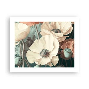 Poster - Flüstern von Mohnblumen - 50x40 cm