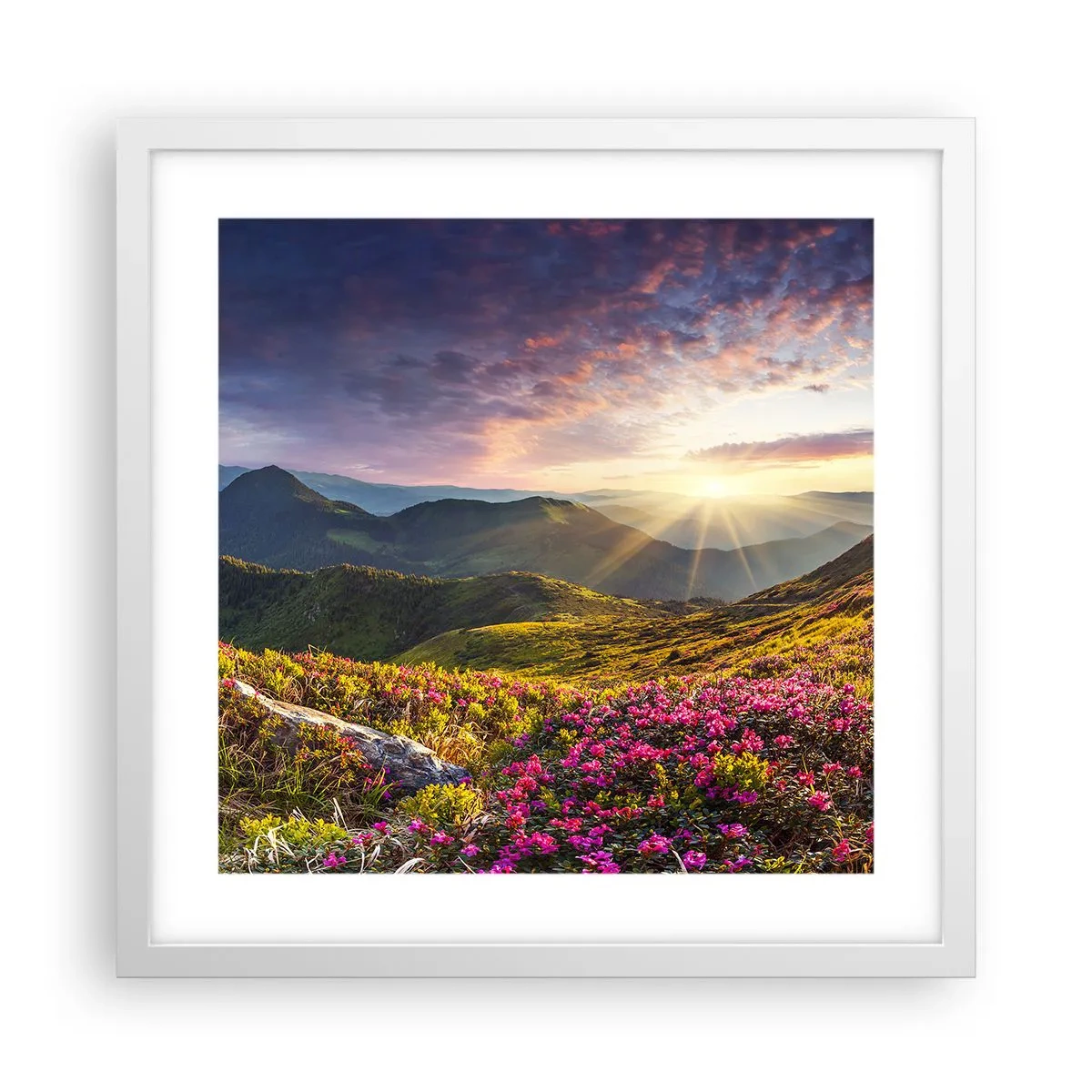 Poster in einem weißen Rahmen - Frische am Bergmorgen - 40x40 cm