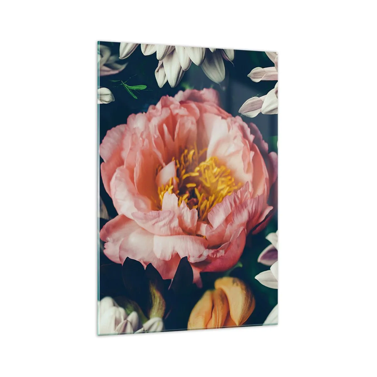 Glasbild - Bild auf glas - Blumenarrangement mit Pfingstrosen und Chrysanthemen auf dunklem Hintergrund - 70x100cm - Mit barocker Pracht - Moderne Wanddekoration für Wohnzimmer und Schlafzimmer ARTTOR