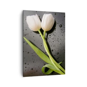 Bild auf Leinwand - Leinwandbild - Weiße Tulpen auf schwarzem Hintergrund mit Wassertropfen - 50x70cm - Frühlingsgewebe - Moderne Wanddekoration für Wohnzimmer und Schlafzimmer ARTTOR