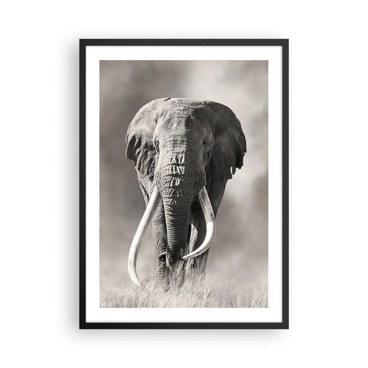 Poster in einem schwarzem Rahmen - Monochromes Porträt eines majestätischen Elefanten - 50x70cm - Afrikanischer Patriarch - Moderne Wanddekoration für Wohnzimmer und Schlafzimmer ARTTOR