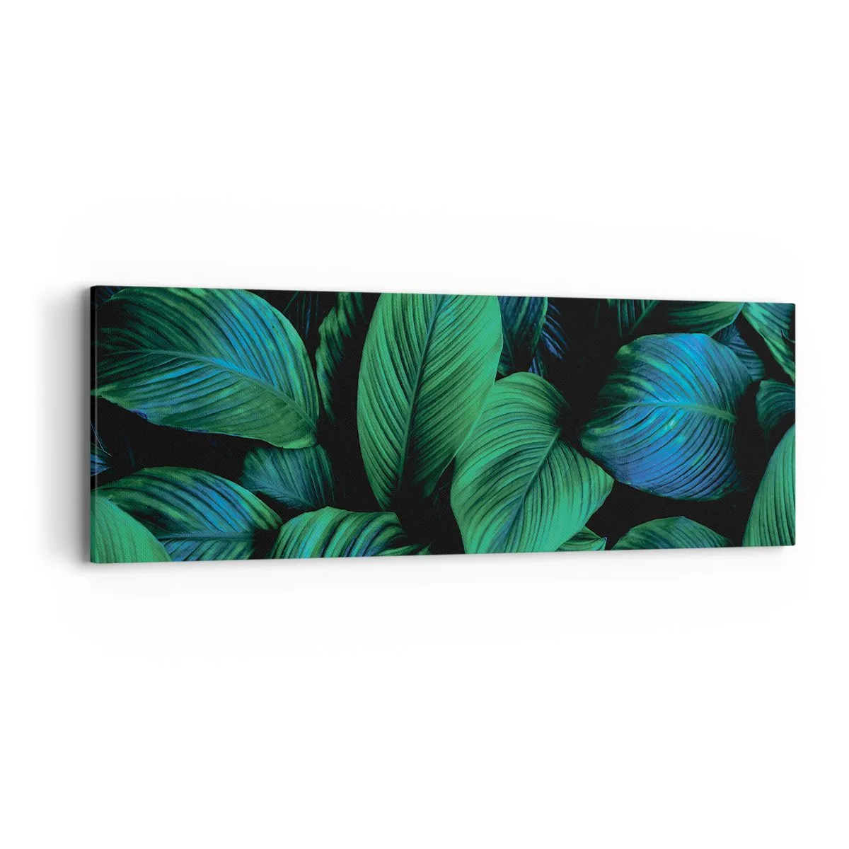 Bild auf Leinwand - Leinwandbild - In der grünen Menge - 90x30 cm