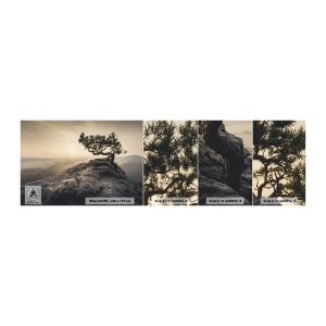 Fototapeten Muster Selbstklebend Deluxe Sticker - Das Leben gewinnt immer - Berglandschaft, Kiefer, Berge - 100x30 cm