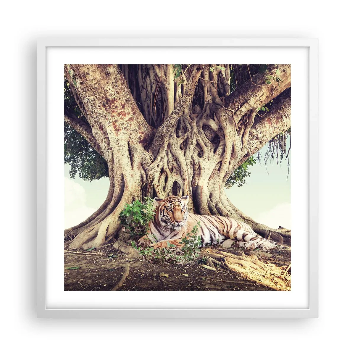 Poster in einem weißen Rahmen - Blick aus dem Buch Genesis - 50x50 cm