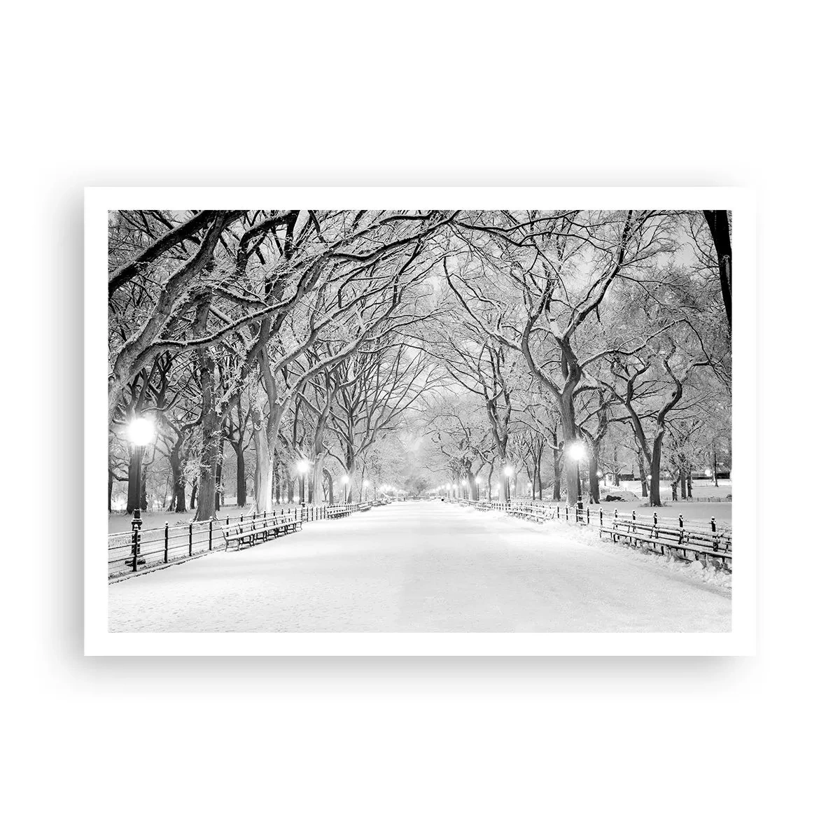 Poster - Eine Winterallee mit schneebedeckten Bäumen in Monochrom - 100x70cm - Vier Jahreszeiten - Winter - Moderne Wanddekoration für Wohnzimmer und Schlafzimmer ARTTOR