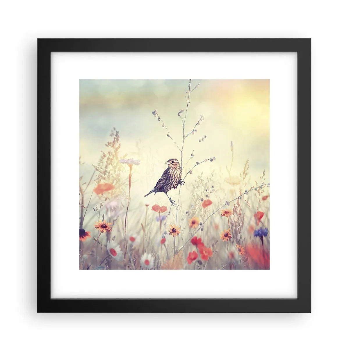 Poster in einem schwarzem Rahmen - Vogelporträt mit einer Wiese im Hintergrund - 30x30 cm