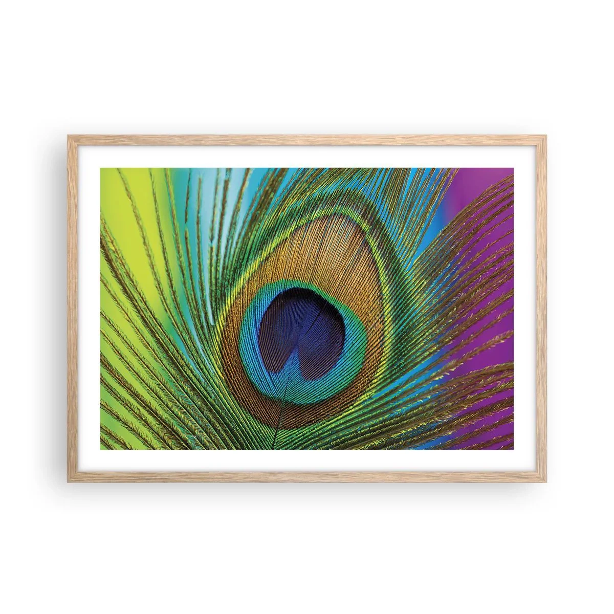 Poster in einem Rahmen aus heller Eiche - Auge in Auge - 70x50 cm