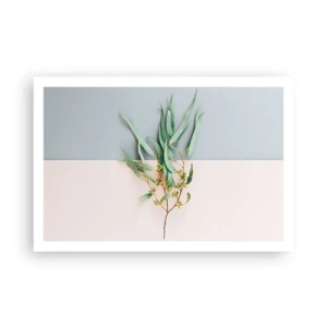 Poster - Pastellige Subtilität - 91x61 cm