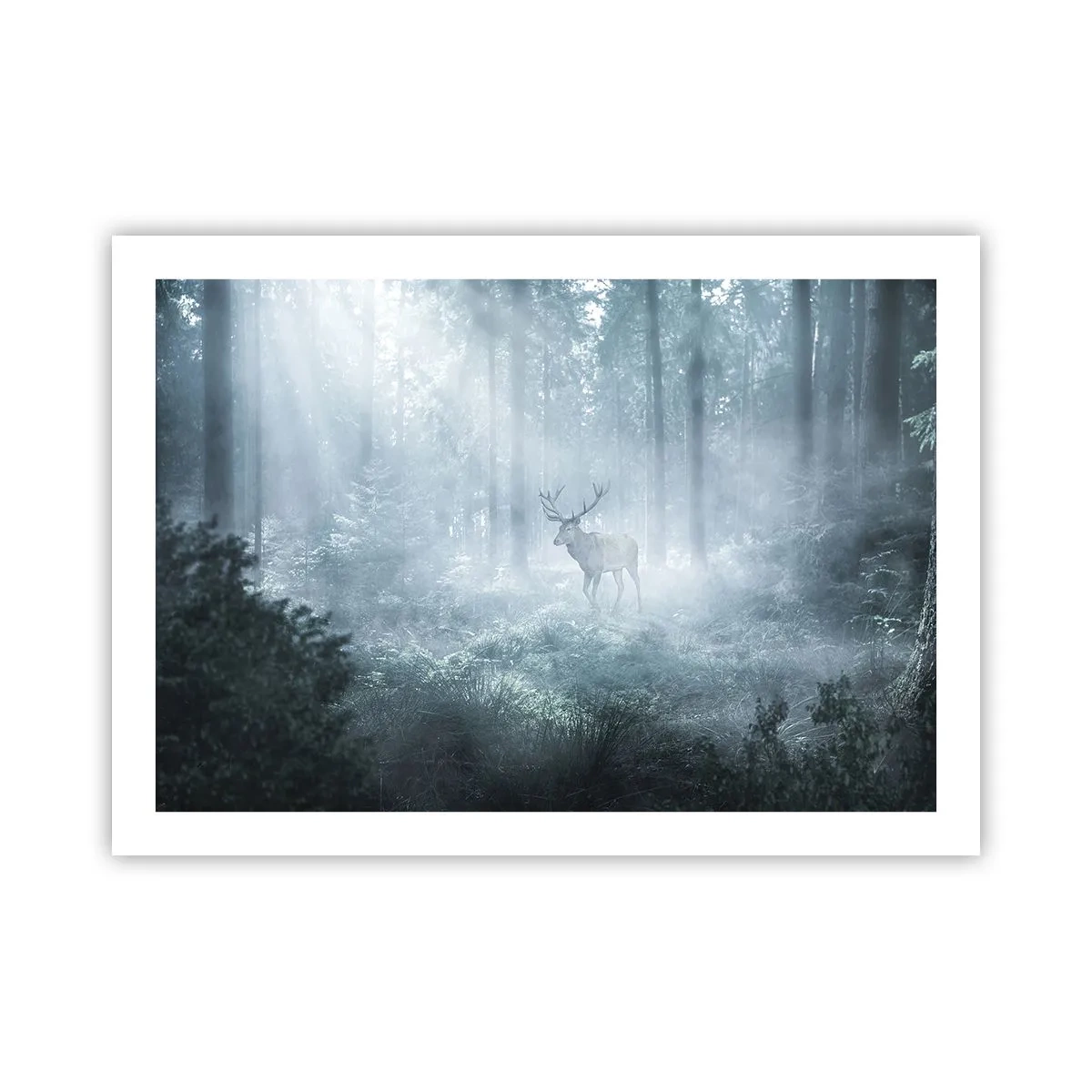 Poster - Morgenvisite auf dem Grundstück - 70x50 cm