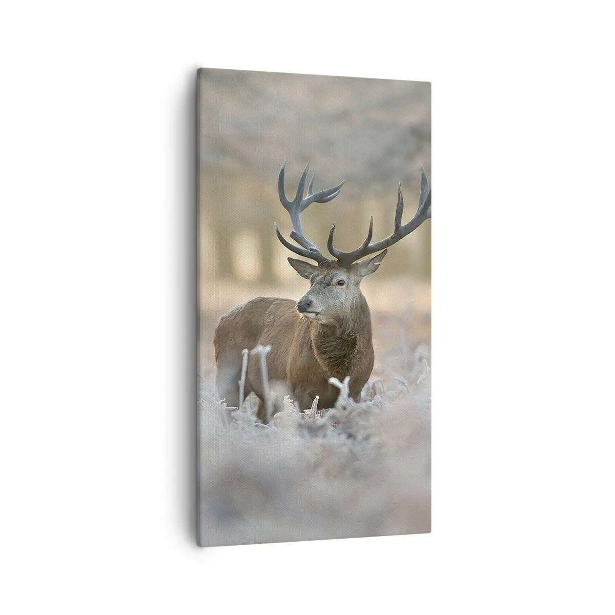 Bild auf Leinwand - Leinwandbild - Ein flotter Morgen - 55x100 cm