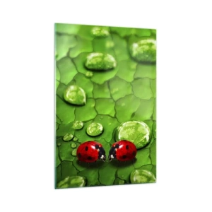 Glasbild - Bild auf glas - Zwei Marienkäfer auf einem Blatt mit Wassertropfen in der Makrofotografie - 70x100cm - Treffen im Grünen - Moderne Wanddekoration für Wohnzimmer und Schlafzimmer ARTTOR