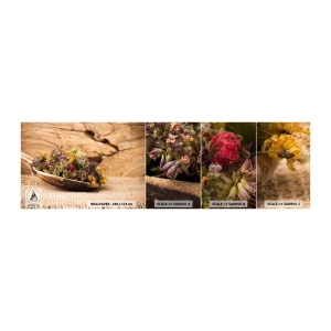 Fototapeten Muster Selbstklebend Deluxe Sticker - Bunte Blumen und duftende Kräuter - Natur, Getrocknete Kräuter, Küche - 100x30 cm