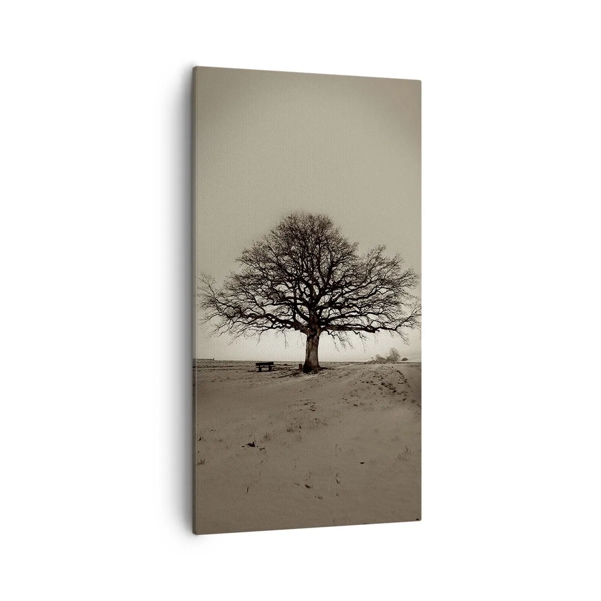 Bild auf Leinwand - Leinwandbild - Von hier zu Ewigkeit - 55x100 cm