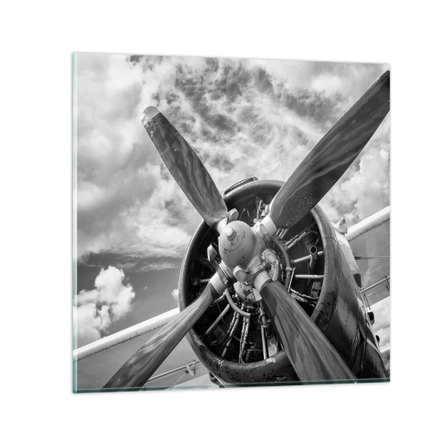 Glasbild - Bild auf glas - Eroberer der Lüfte - 30x30 cm