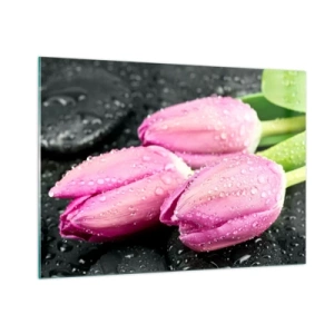 Glasbild - Bild auf glas - Drei rosa Tulpen mit Wassertropfen bedeckt auf schwarzem Hintergrund. - 100x70cm - Liladrei auf schwarzem Stein - Moderne Wanddekoration für Wohnzimmer und Schlafzimmer ARTTOR