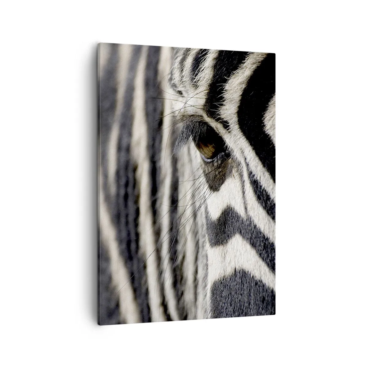 Bild auf Leinwand - Leinwandbild - Nahaufnahme eines Zebraauges mit schwarzen und weißen Streifen - 50x70cm - Gestreiftes Porträt - Moderne Wanddekoration für Wohnzimmer und Schlafzimmer ARTTOR