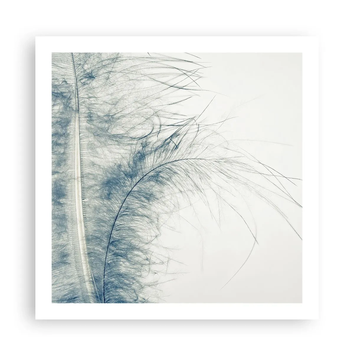 Poster - Flüstern der Natur - 60x60 cm