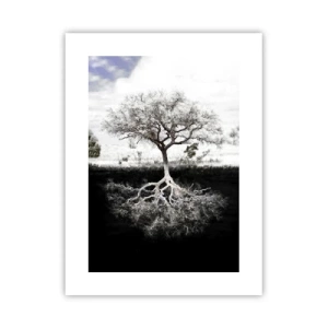 Poster - Die Natur der Welt entdecken - 30x40 cm